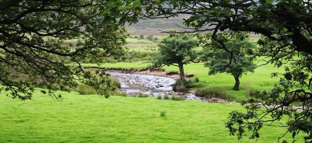 The Plough Inn Wigglesworth